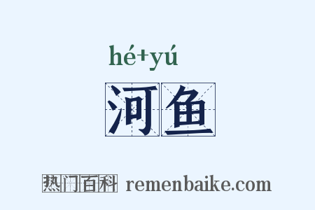 河鱼是什么意思的图片